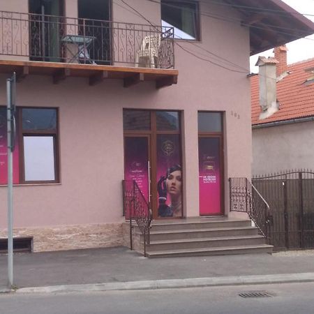 Cazare Regim Hotelier Zărneşti エクステリア 写真