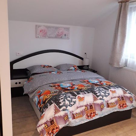Cazare Regim Hotelier Zărneşti エクステリア 写真
